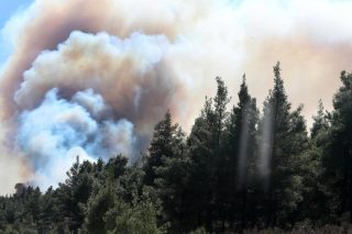 Φωτιά στην Χαλκιδική